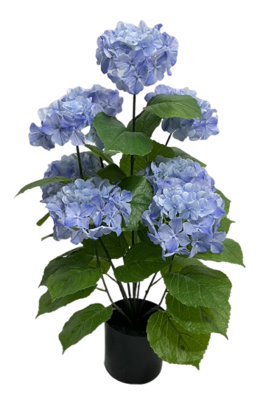 Hortensie artificială albastră în ghiveci, ideală pentru decor fresh, relaxant și elegant. Adaugă culoare și volum în orice spațiu fără întreținere. Perfectă pentru living, terasă acoperită sau birou modern.