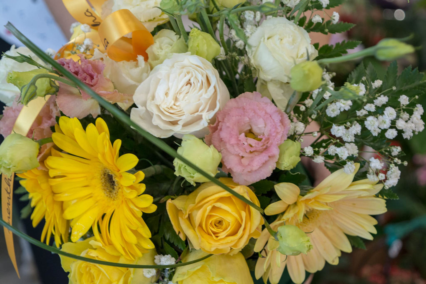 Lisianthus șampanie, o nuanță delicată de galben: o privire de aproape, reprezentând eleganța și subtilitatea într-un cadru floral strălucitor.