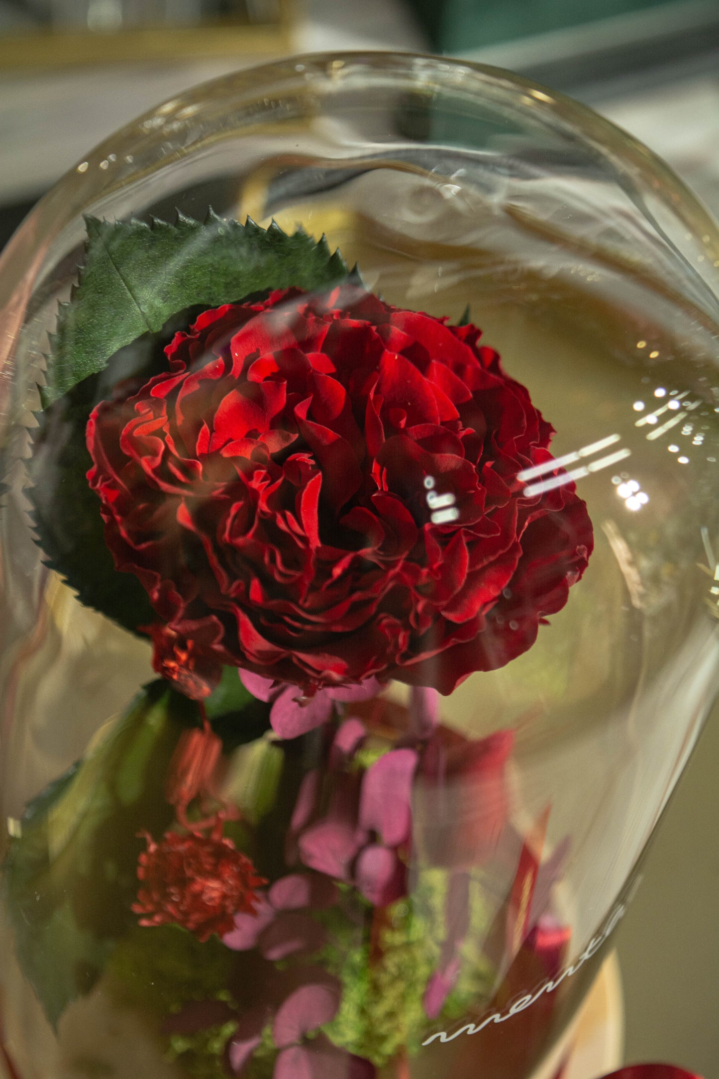 Trandafir criogenat roșu creț ⌀8cm în cupola de sticlă 12x21cm