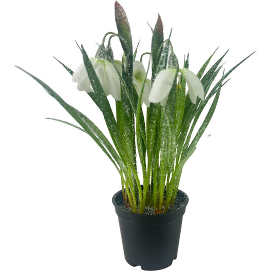 Ghiocel artificial cu ghiveci, floare decorativă primăvară