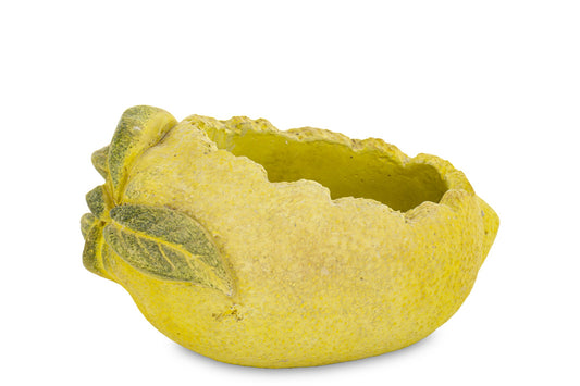 Ghiveci decorativ din ciment cu design lămâie, ideal pentru plante mici, suculente sau decor modern de bucătărie și terasă. Designul fresh aduce un accent mediteranean și vesel în orice spațiu. Este perfect ca decor sau cadou de casă nouă.