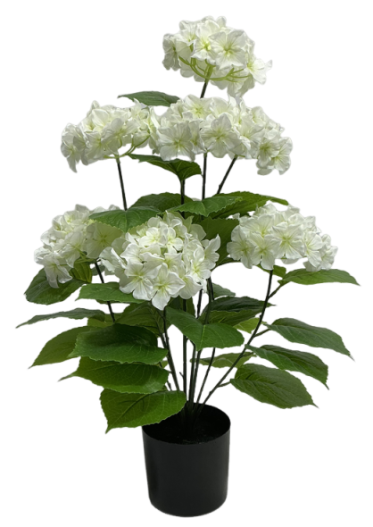 Hortensie artificială albă în ghiveci, ideală pentru decor elegant, curat și minimalist. Se potrivește perfect în orice tip de interior modern sau clasic și nu necesită întreținere. Perfectă pentru casă nouă sau spații luminoase.