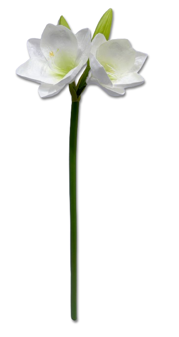 Amaryllis artificial alb, 73cm, floare decorativă din plastic și silicon realist.