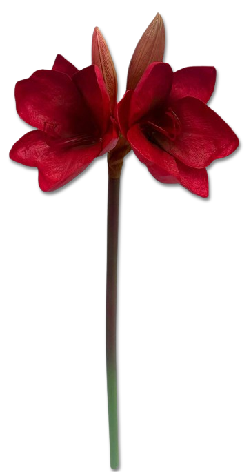 Amaryllis artificial roșu 73cm, floare decorativă realistă din plastic și silicon.