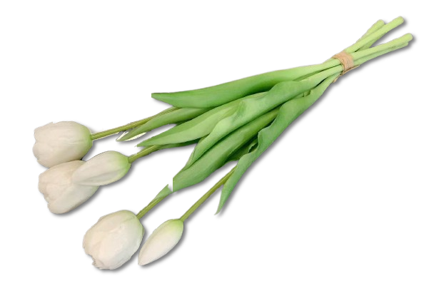 Buchet de lalele artificiale real touch albe, cu aspect natural și elegant. Ideal pentru decor minimalist sau romantic, fără întreținere. Perfect pentru living, dormitor sau cadouri de casă nouă sofisticate.