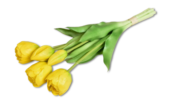Buchet de lalele galbene real touch, simbol al energiei și bucuriei. Ideal pentru decor luminos, vesel și primitor în orice spațiu. Perfect pentru living, birou sau cadouri de casă nouă.