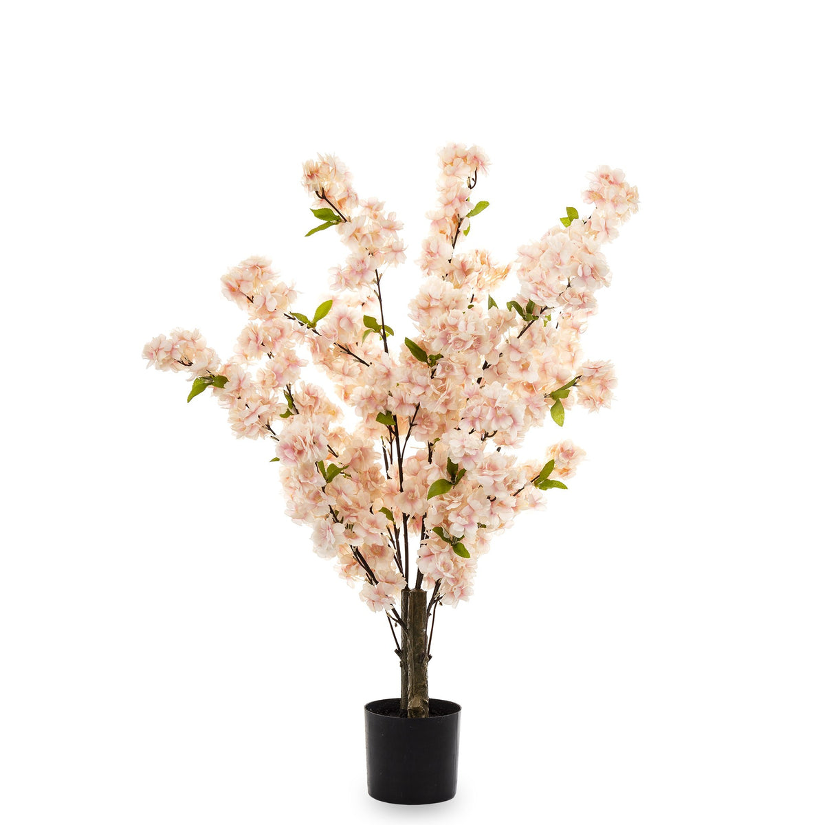decor interior, decorațiuni, cadou, cadou elegant, idei de cadouri, amenajare, decor casă, accent decorativ, cadou pentru casă, obiect decorativ, cadouri speciale, decor modern, decor sezonier, cadou pentru familie, mentha, decor floral, cadou cu flori