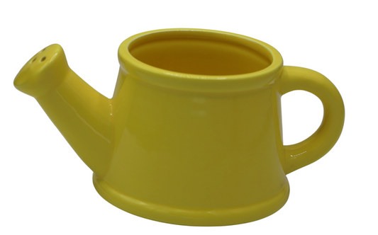 Stropitoare ceramică 24x12x8,8 cm pentru udat plante și decor interior