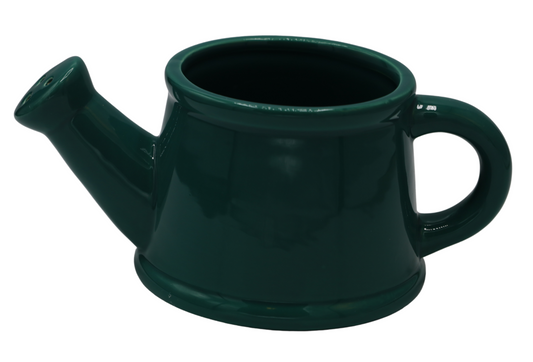Stropitoare ceramică 24x12x8,8 cm, decor rustic pentru plante și cadou original