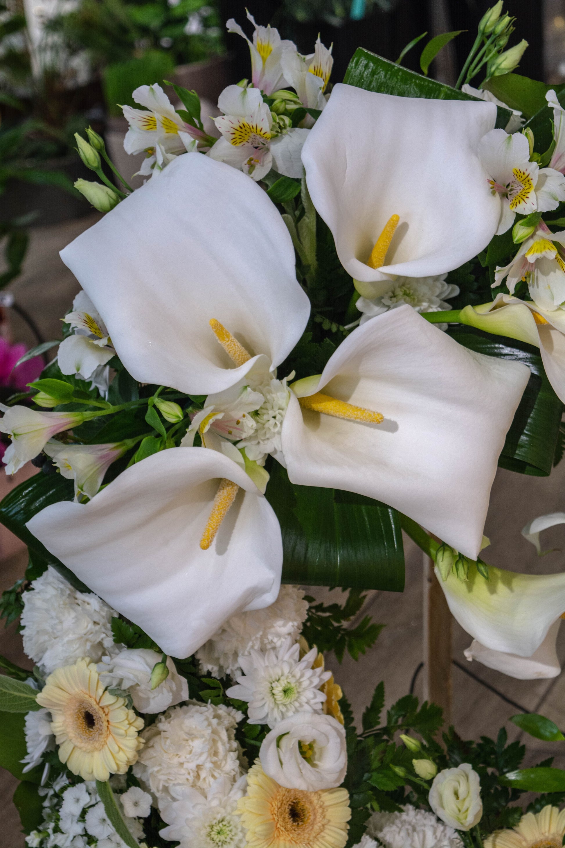 Armonie în culori pastelate: crizanteme și garoafe într-o combinație delicată, aducând o notă de empatie și respect, cu livrare GRATUITĂ în Resita