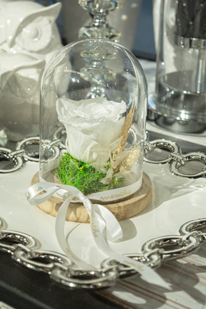 Trandafir criogenat alb pur ⌀8cm în cupola de sticlă 12x17cm
