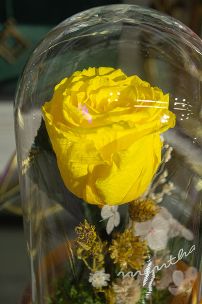 Trandafir criogenat galben ⌀8cm în cupola de sticlă 12x21cm