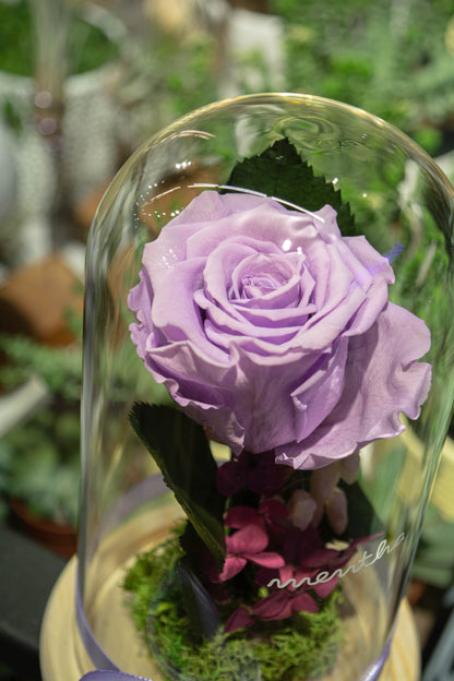 Trandafir criogenat lavandă ⌀8cm în cupola de sticlă 12x21cm