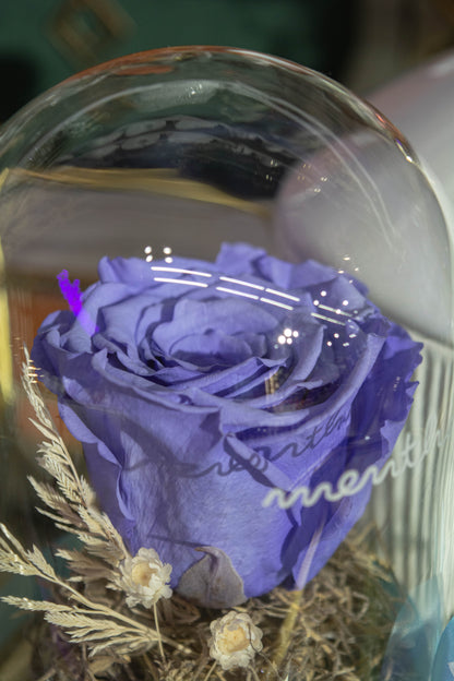 Trandafir criogenat lavandă ⌀8cm în cupola de sticlă 12x17cm