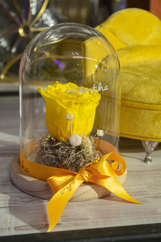 Trandafir criogenat galben ⌀8cm în cupola de sticlă 12x17cm