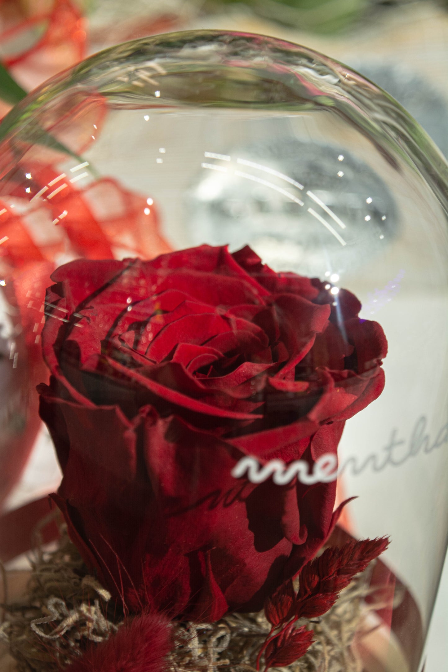 Trandafir criogenat roșu ⌀8cm în cupola de sticlă 12x21cm
