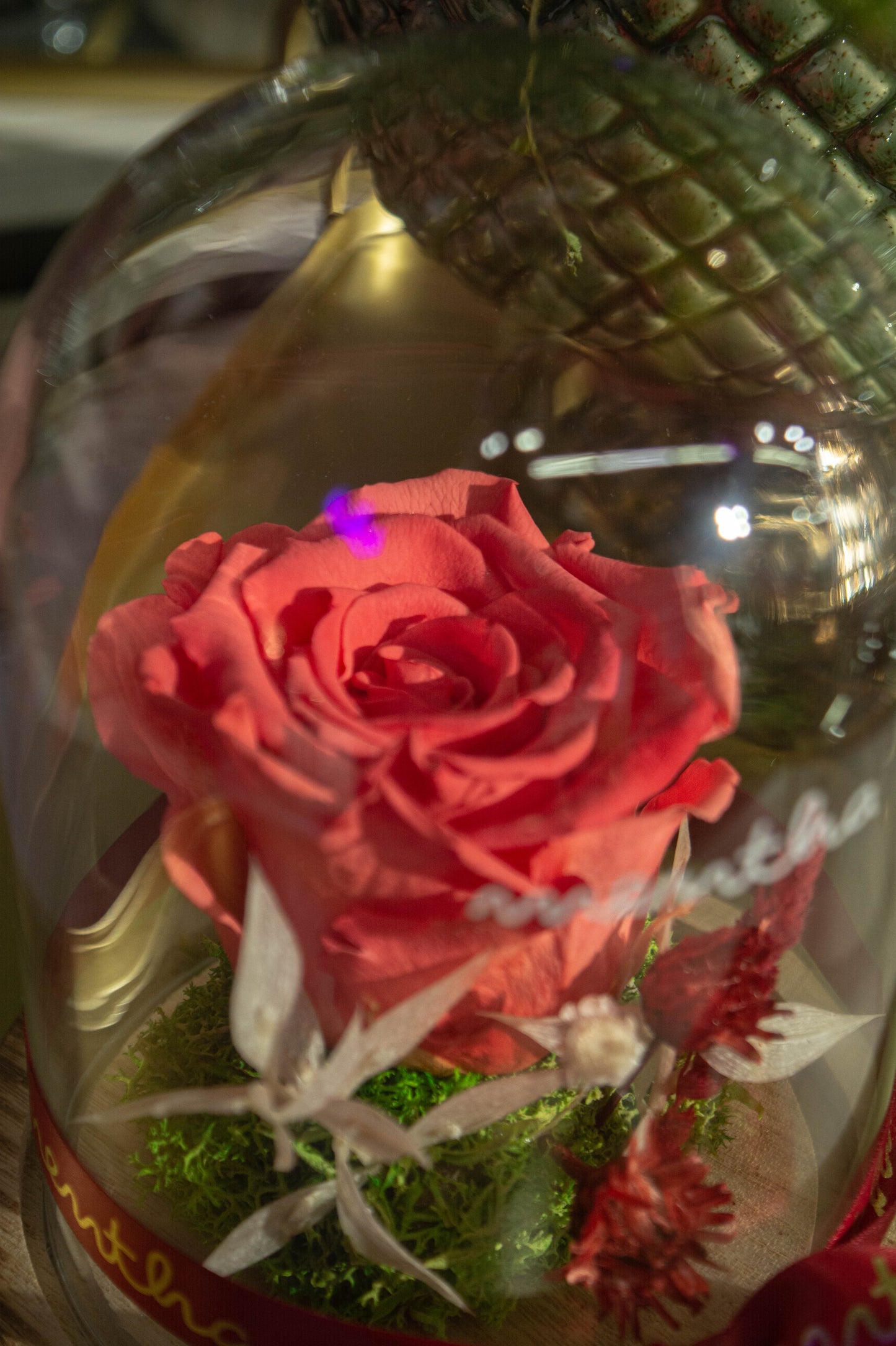 Trandafir criogenat corai ⌀8cm în cupola de sticlă 12x17cm