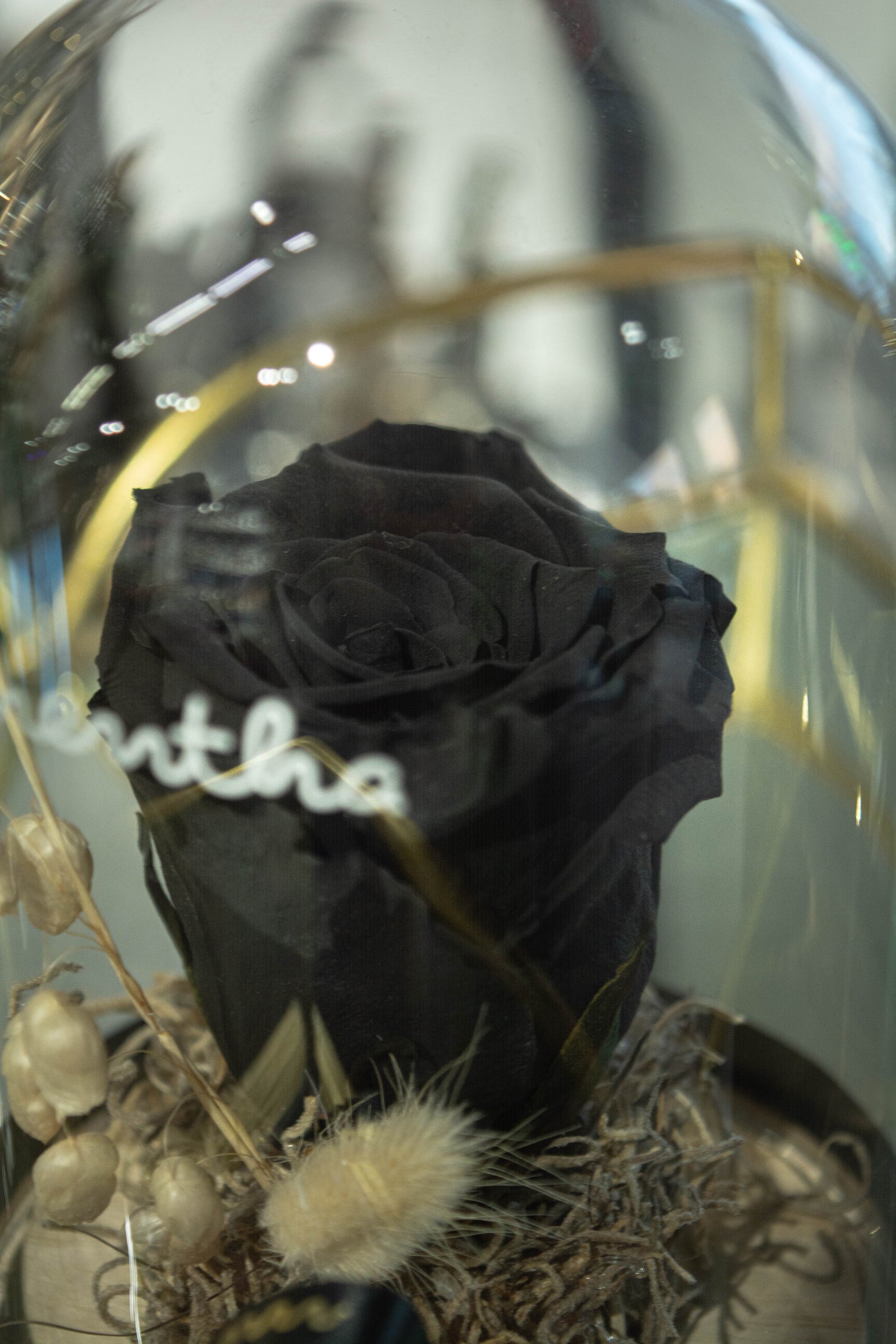 Trandafir criogenat negru ⌀8cm în cupola de sticlă 12x17cm