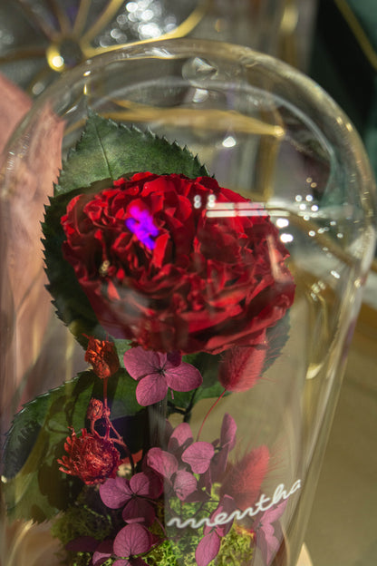 Trandafir criogenat roșu creț ⌀8cm în cupola de sticlă 12x21cm