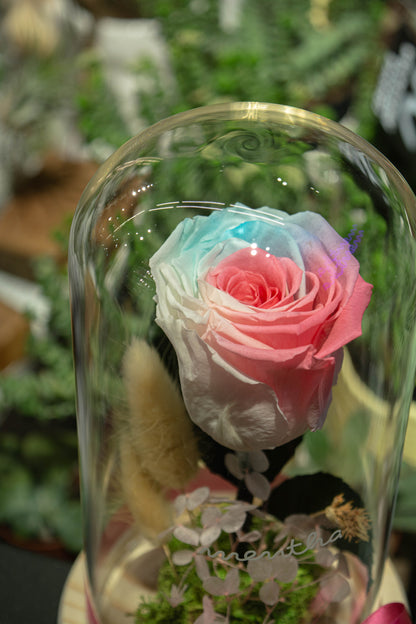 Trandafir criogenat bubblegum ⌀8cm în cupola de sticlă 12x21cm