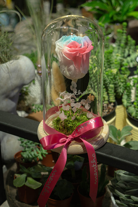 Trandafir criogenat bubblegum ⌀8cm în cupola de sticlă 12x21cm