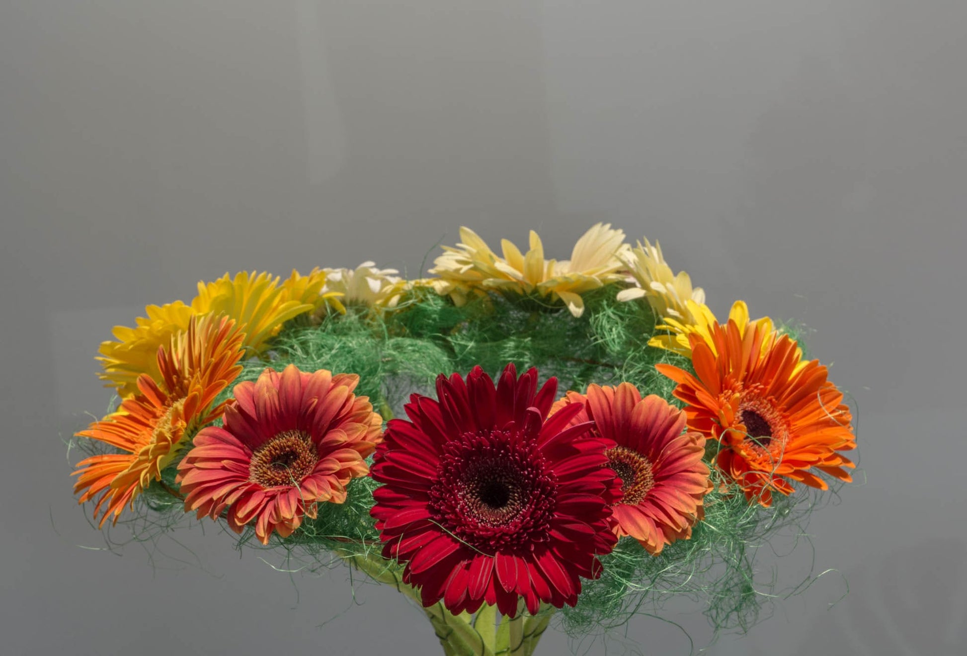 O imagine cuprinzătoare a buchetului nostru echilibrat, reprezentând frumusețea și variabilitatea florilor gerbera
