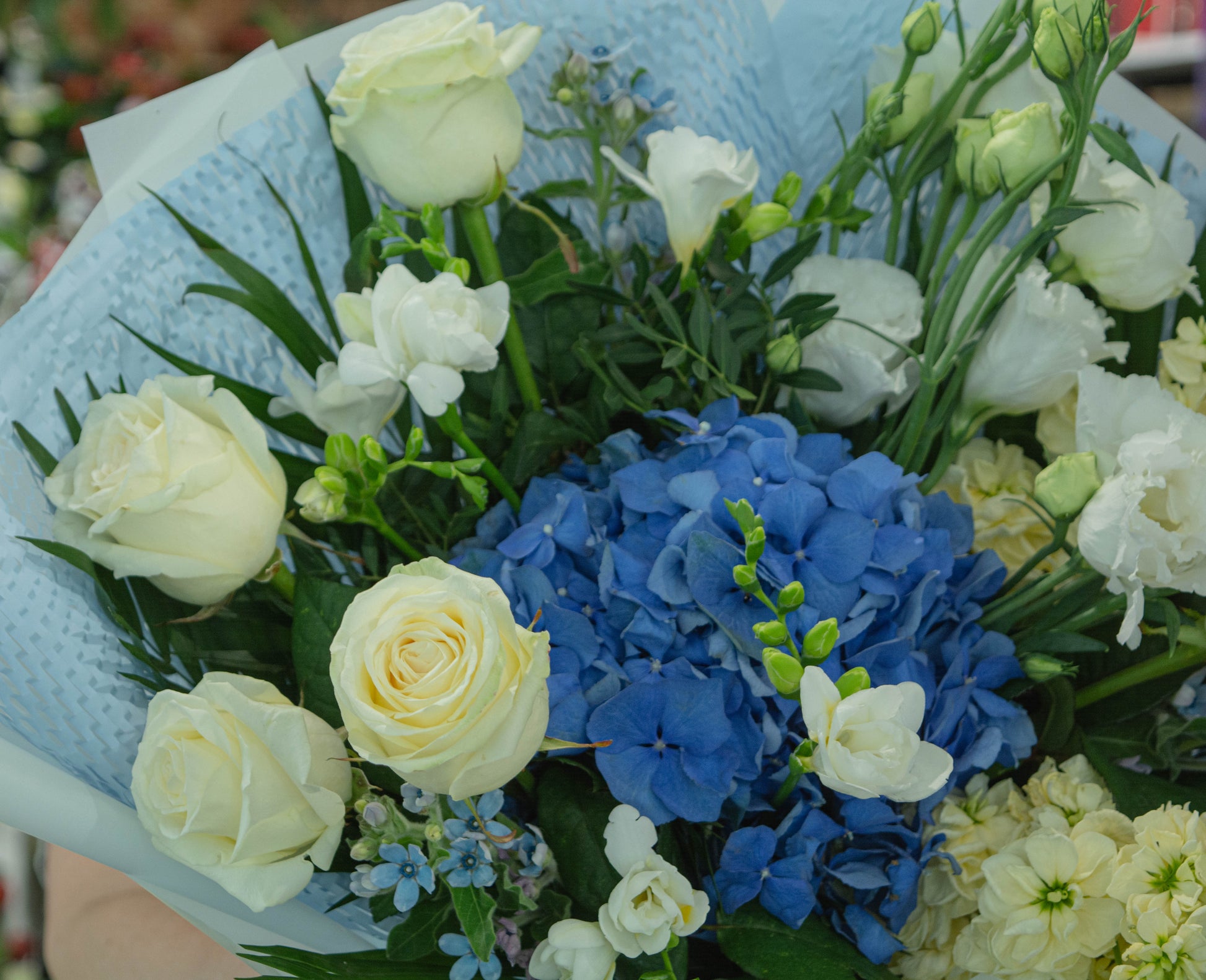 Detaliu buchet cu hortensie albastră și trandafiri - aranjament floral elegant - livrare în Reșița
