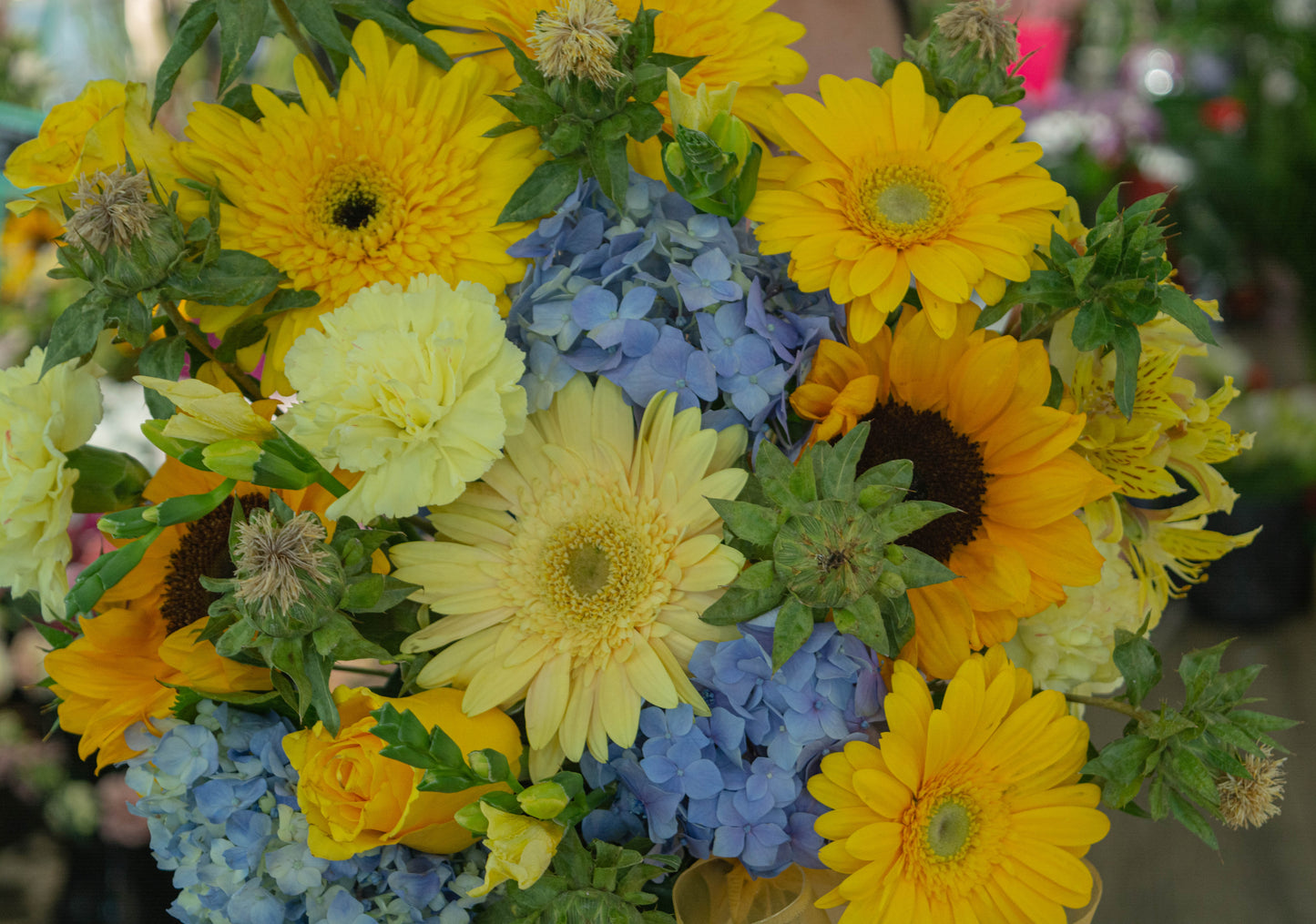 Detaliu cutie cu hortensie și floarea soarelui - flori proaspete - livrare în Reșița